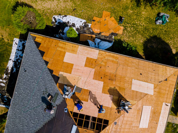 Best Roof Repair Services  in Clyde, NC