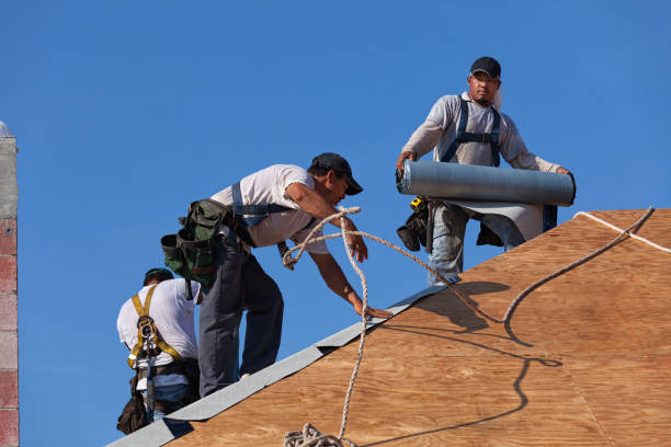 Best Storm Damage Roof Repair  in Clyde, NC