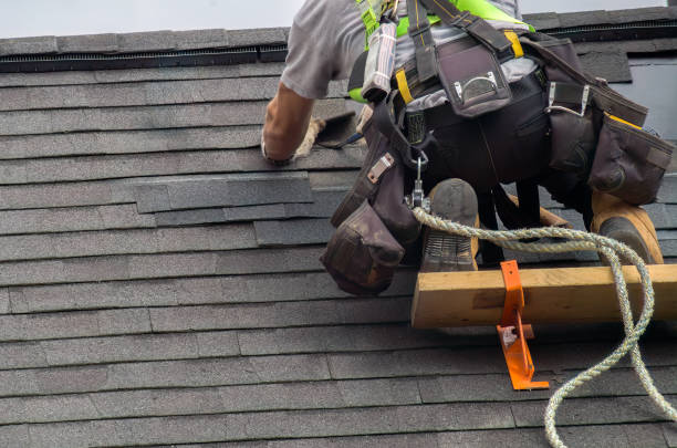 Professional Roofing Contractor in Clyde, NC