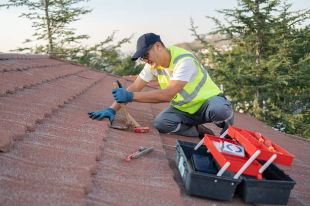 Best Roof Leak Repair  in Clyde, NC
